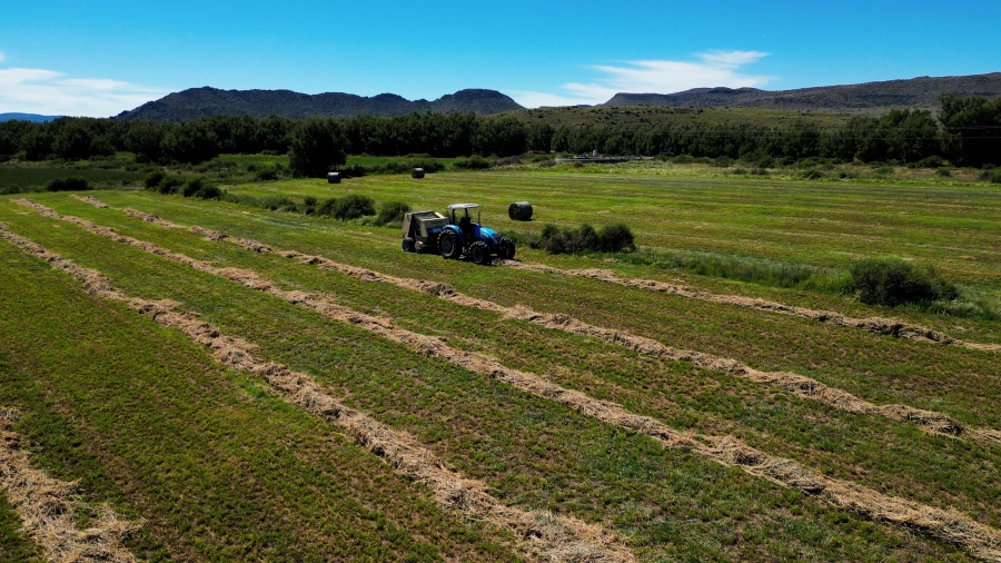 5 Bedroom Property for Sale in Steynsburg Rural Eastern Cape